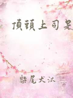 顶头上司是我