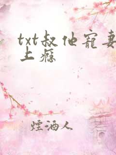 txt叔他宠妻上瘾