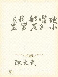 《我那嘴硬的医生男友》小说