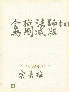 全职法师txt无删减版