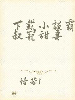 下载小说霸道大叔宠甜妻