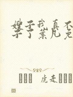 嫂子我真不是傻子了叶凡免费阅读