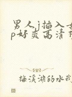 男人j插入女人p好爽高清视频