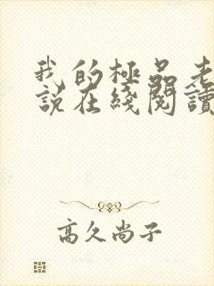 我的极品老婆小说在线阅读