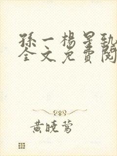 孙一杨星轨小说全文免费阅读无弹窗