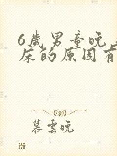 6岁男童晚上尿床的原因有哪些