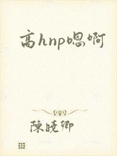 高hnp嗯啊