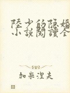 陆少的隐婚罪妻小说阅读全文