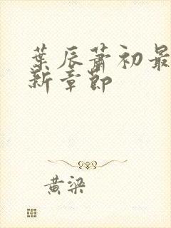 叶辰萧初最新更新章节