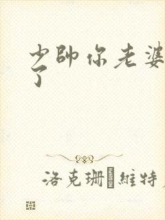 少帅你老婆又跑了