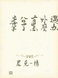 老公有外遇还怀孕了怎么办