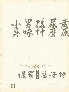 小男孩尿黄有骚臭味什么原因