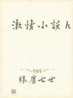激情小说 h
