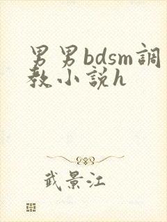 男男bdsm调教小说h