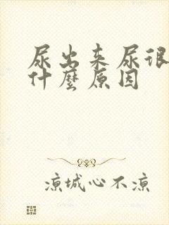 尿出来尿很臭是什么原因