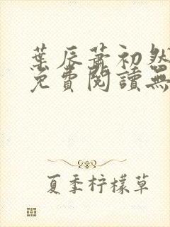 叶辰萧初然全文免费阅读无弹窗1056