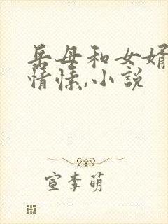 岳母和女婿互生情愫,小说