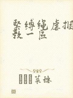 紧缚绳虐捆绑调教一区