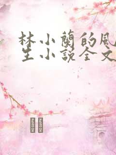 林小兰的风流人生小说全文免费阅读