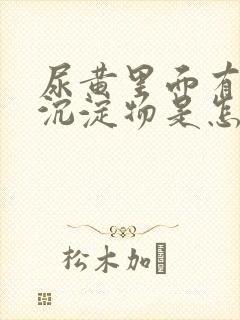 尿黄里面有白色沉淀物是怎么回事