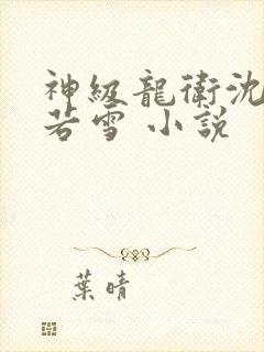 神级龙卫沈浪苏若雪 小说