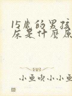 15岁的男孩尿床是什么原因