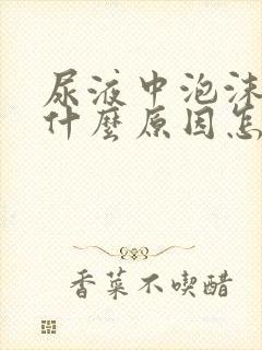 尿液中泡沫多是什么原因怎么治