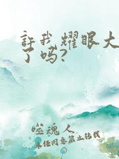 许我耀眼大结局了吗?