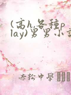 (高h,各种play)男男小说