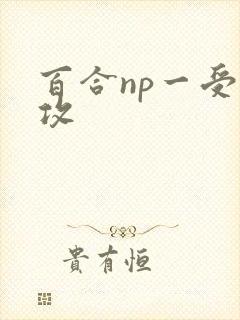 百合np一受多攻