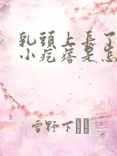 乳头上长了一个小疙瘩是怎么回事