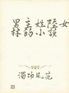 男主姓陆女主姓林的小说