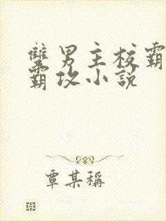 双男主校霸受学霸攻小说