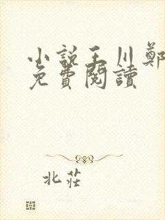 小说王川郑莲茹免费阅读