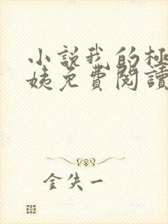 小说我的极品小姨免费阅读