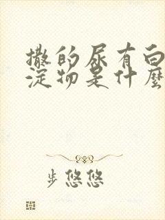 撒的尿有白色沉淀物是什么原因