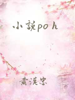 小说po h