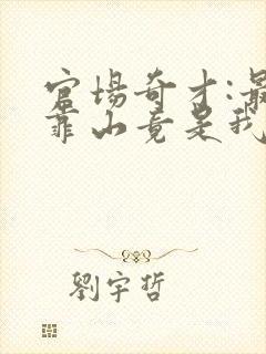 官场奇才:最强靠山竟是我自己李澜小说最