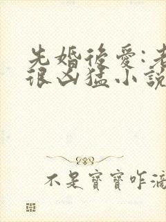 先婚后爱:老公很凶猛小说完整免费