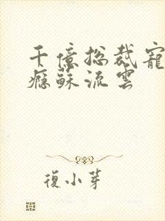 千亿总裁宠妻上瘾苏流云