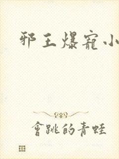 邪王爆宠小辣妃