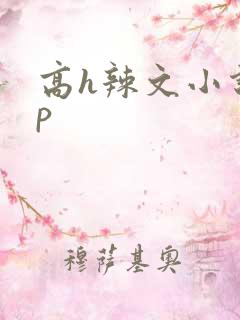 高h辣文小说np