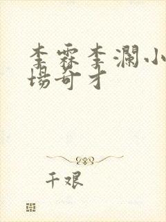 李霖李澜小说官场奇才