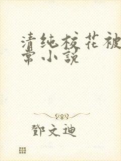 清纯校花被瘾日常小说