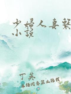 少妇人妻系列h小说