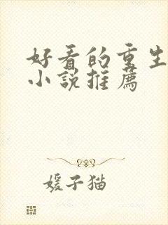 好看的重生完结小说推荐