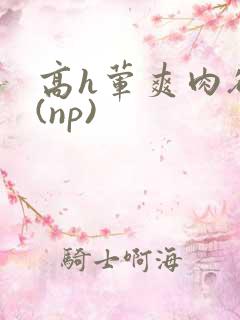高h荤爽肉欲文(np)