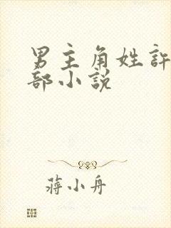 男主角姓许的全部小说