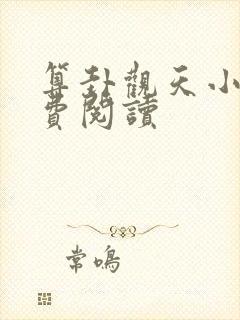 算卦观天小说免费阅读