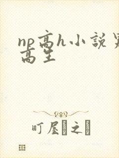 np高h小说男高生